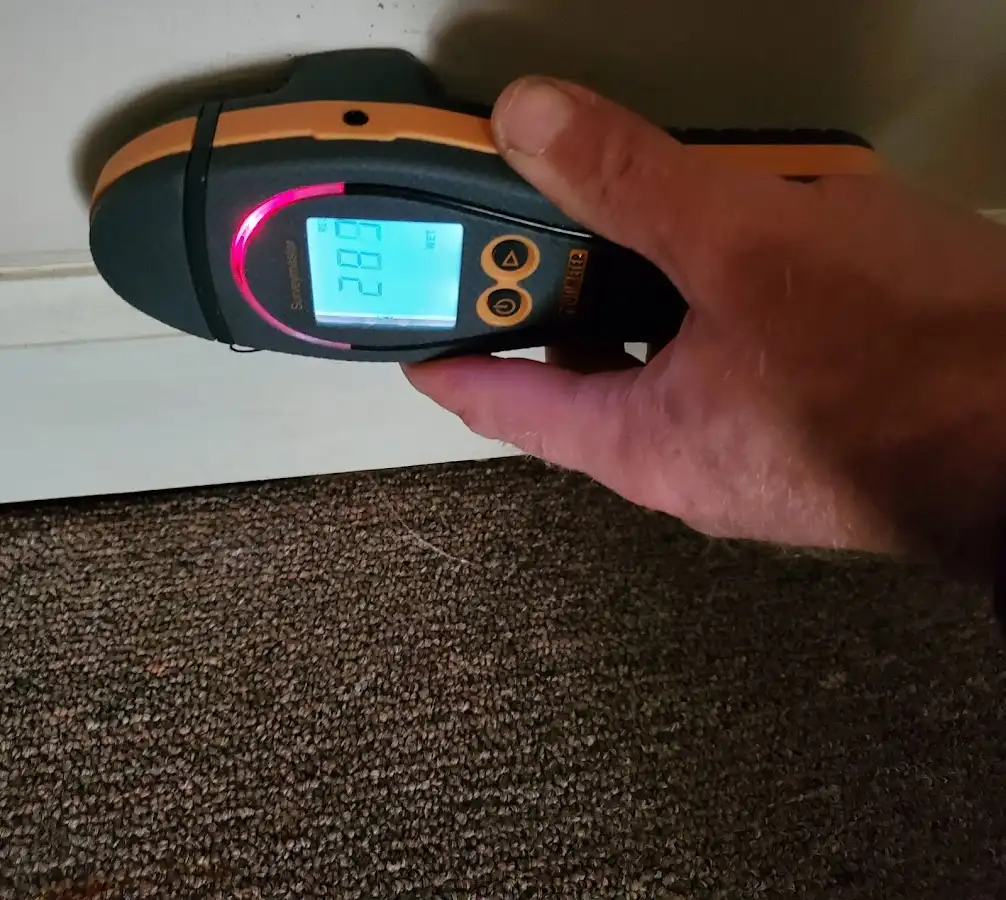 Moisture detection at baseboard during Sewage Cleanup & Sanitation in Hattiesburg